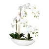 Bester Verkauf 💯 Kerzen, Vasen & Mehr Creativ Green Deko-Orchidee Phalaenopsis In Weiß Günstig Kaufen 🛒 1 Bester Verkauf 💯 Kerzen, Vasen & Mehr Creativ Green Deko-Orchidee Phalaenopsis In Weiß Günstig Kaufen 🛒 -Günstiges Creano Geschäft creativ green deko orchidee phalaenopsis in weiss 2