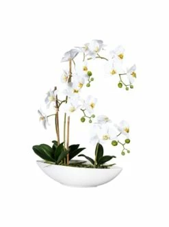 Bester Verkauf 💯 Kerzen, Vasen & Mehr Creativ Green Deko-Orchidee Phalaenopsis In Weiß Günstig Kaufen 🛒