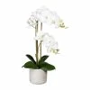Billig 🌟 Kerzen, Vasen & Mehr Creativ Green Deko-Orchidee Phalaenopsis In Weiß Günstig Kaufen 😉 -Günstiges Creano Geschäft creativ green deko orchidee phalaenopsis in weiss 6