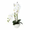 Blitzangebot 🔥 Kerzen, Vasen & Mehr Creativ Green Deko-Orchidee Phalaenopsis In Weiß Günstig Kaufen 👏 -Günstiges Creano Geschäft creativ green deko orchidee phalaenopsis in weiss 7
