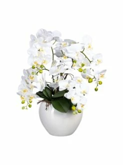 Top 10 🎁 Kerzen, Vasen & Mehr Creativ Green Deko-Orchidee Phalaenopsis In Weiß Günstig Kaufen ⭐