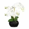 Brandneu 😀 Kerzen, Vasen & Mehr Creativ Green Deko-Orchidee Phalaenopsis In Weiß Günstig Kaufen 💯 -Günstiges Creano Geschäft creativ green deko orchidee phalaenopsis in weiss 9