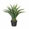 Großhandel 🔔 Kerzen, Vasen & Mehr Creativ Green Deko-Pflanze Agave In Grün Günstig Kaufen ⌛ 2 Großhandel 🔔 Kerzen, Vasen & Mehr Creativ Green Deko-Pflanze Agave In Grün Günstig Kaufen ⌛ -Günstiges Creano Geschäft creativ green deko pflanze agave in grun 1