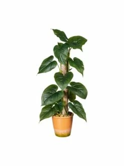 Auslauf 👍 Kerzen, Vasen & Mehr Creativ Green Deko-Pflanze Anthurium Auf Stamm In Grün Günstig Kaufen 🧨