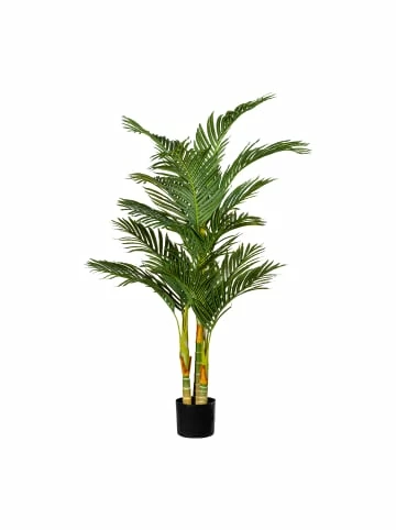 Aktion 🔔 Kerzen, Vasen & Mehr Creativ Green Deko-Pflanze Arecapalme In Grün Günstig Kaufen ⭐ 3 Aktion 🔔 Kerzen, Vasen & Mehr Creativ Green Deko-Pflanze Arecapalme In Grün Günstig Kaufen ⭐
