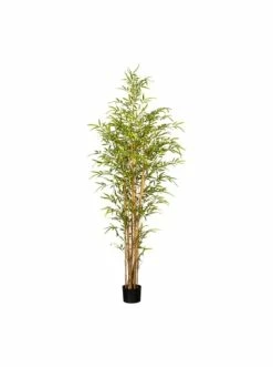 Großhandel 🛒 Kerzen, Vasen & Mehr Creativ Green Deko-Pflanze Bambus In Grün Günstig Kaufen 🧨