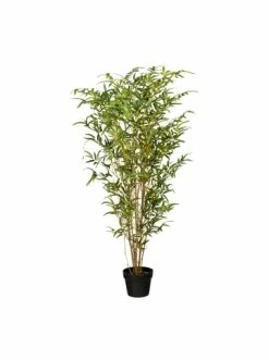 Aktion 🎉 Kerzen, Vasen & Mehr Creativ Green Deko-Pflanze Bambus In Grün Günstig Kaufen 🎁