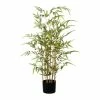 Bester Verkauf 🥰 Kerzen, Vasen & Mehr Creativ Green Deko-Pflanze Bambus In Grün Günstig Kaufen ✔️ 1 Bester Verkauf 🥰 Kerzen, Vasen & Mehr Creativ Green Deko-Pflanze Bambus In Grün Günstig Kaufen ✔️ -Günstiges Creano Geschäft creativ green deko pflanze bambus in grun 4