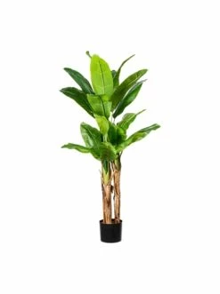 Budget 👍 Kerzen, Vasen & Mehr Creativ Green Deko-Pflanze Banane In Grün Günstig Kaufen 😉