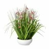Billig ✔️ Kerzen, Vasen & Mehr Creativ Green Deko-Pflanze Blüten-Gras-Mix In Rosa Günstig Kaufen 🥰