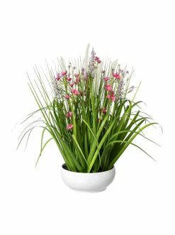 Billig ✔️ Kerzen, Vasen & Mehr Creativ Green Deko-Pflanze Blüten-Gras-Mix In Rosa Günstig Kaufen 🥰