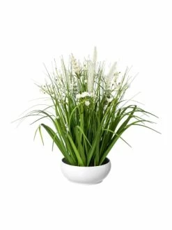 Rabatt 🎁 Kerzen, Vasen & Mehr Creativ Green Deko-Pflanze Blüten-Gras-Mix In Weiß Günstig Kaufen 😍