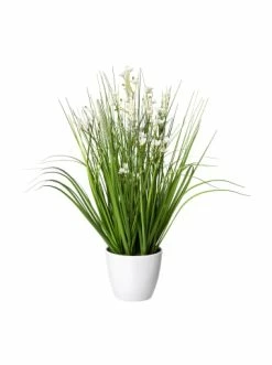 Bestes Angebot 🎉 Kerzen, Vasen & Mehr Creativ Green Deko-Pflanze Blüten-Gras-Mix In Weiß Günstig Kaufen 🎉