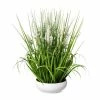 Beste Bewertungen von 🎁 Kerzen, Vasen & Mehr Creativ Green Deko-Pflanze Blüten-Gras-Mix In Weiß Günstig Kaufen 🔔