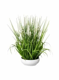 Beste Bewertungen von 🎁 Kerzen, Vasen & Mehr Creativ Green Deko-Pflanze Blüten-Gras-Mix In Weiß Günstig Kaufen 🔔