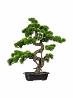 Top 10 🥰 Kerzen, Vasen & Mehr Creativ Green Deko-Pflanze Bonsai Kiefer In Grün Günstig Kaufen 🛒