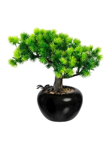 Aktion ⭐ Kerzen, Vasen & Mehr Creativ Green Deko-Pflanze Bonsai Lärche 2er Set In Grün Günstig Kaufen ❤️ 4 Aktion ⭐ Kerzen, Vasen & Mehr Creativ Green Deko-Pflanze Bonsai Lärche 2er Set In Grün Günstig Kaufen ❤️ - Image 2
