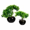 Aktion ⭐ Kerzen, Vasen & Mehr Creativ Green Deko-Pflanze Bonsai Lärche 2er Set In Grün Günstig Kaufen ❤️ -Günstiges Creano Geschäft creativ green deko pflanze bonsai larche 2er set in grun