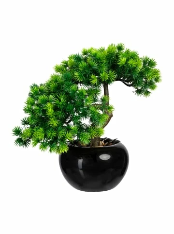 Aktion ⭐ Kerzen, Vasen & Mehr Creativ Green Deko-Pflanze Bonsai Lärche 2er Set In Grün Günstig Kaufen ❤️ 5 Aktion ⭐ Kerzen, Vasen & Mehr Creativ Green Deko-Pflanze Bonsai Lärche 2er Set In Grün Günstig Kaufen ❤️ - Image 3