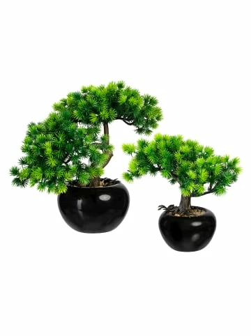 Aktion ⭐ Kerzen, Vasen & Mehr Creativ Green Deko-Pflanze Bonsai Lärche 2er Set In Grün Günstig Kaufen ❤️ 3 Aktion ⭐ Kerzen, Vasen & Mehr Creativ Green Deko-Pflanze Bonsai Lärche 2er Set In Grün Günstig Kaufen ❤️