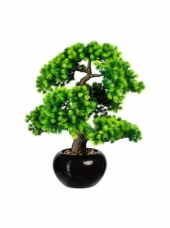 Auslauf 💯 Kerzen, Vasen & Mehr Creativ Green Deko-Pflanze Bonsai Lärche In Grün Günstig Kaufen 🔔