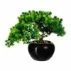 Aktion ❤️ Kerzen, Vasen & Mehr Creativ Green Deko-Pflanze Bonsai Lärche In Grün Günstig Kaufen ✔️ -Günstiges Creano Geschäft creativ green deko pflanze bonsai larche in grun