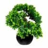Coupon 👏 Kerzen, Vasen & Mehr Creativ Green Deko-Pflanze Bonsai Lärche In Grün Günstig Kaufen 🧨 -Günstiges Creano Geschäft creativ green deko pflanze bonsai larche in grun 2