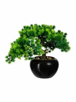 Aktion ❤️ Kerzen, Vasen & Mehr Creativ Green Deko-Pflanze Bonsai Lärche In Grün Günstig Kaufen ✔️