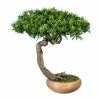 Am billigsten 💯 Kerzen, Vasen & Mehr Creativ Green Deko-Pflanze Bonsai Podocarpus Shankan In Grün Günstig Kaufen 🎁 -Günstiges Creano Geschäft creativ green deko pflanze bonsai podocarpus shankan in grun