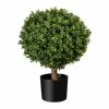 Rabatt 💯 Kerzen, Vasen & Mehr Creativ Green Deko-Pflanze Buchsbaum-Kugel In Grün Günstig Kaufen 👏 -Günstiges Creano Geschäft creativ green deko pflanze buchsbaum kugel in grun