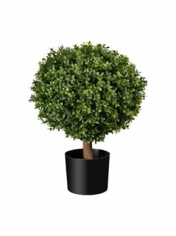 Rabatt 💯 Kerzen, Vasen & Mehr Creativ Green Deko-Pflanze Buchsbaum-Kugel In Grün Günstig Kaufen 👏