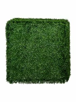 Am billigsten 🎉 Kerzen, Vasen & Mehr Creativ Green Deko-Pflanze Buchsbaumhecke In Grün Günstig Kaufen ❤️