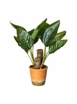 Neu ⌛ Kerzen, Vasen & Mehr Creativ Green Deko-Pflanze Cannablatt In Grün Günstig Kaufen 🌟