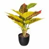 Budget 🔔 Kerzen, Vasen & Mehr Creativ Green Deko-Pflanze Croton In Grün-gelb Günstig Kaufen 🔥 -Günstiges Creano Geschäft creativ green deko pflanze croton in grun gelb