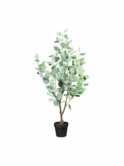 Budget 😀 Kerzen, Vasen & Mehr Creativ Green Deko-Pflanze Eukalypthus Populus In Grün Günstig Kaufen 😀