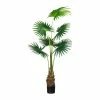 Schlussverkauf 😀 Kerzen, Vasen & Mehr Creativ Green Deko-Pflanze Fächerpalme In Grün Günstig Kaufen ❤️ -Günstiges Creano Geschäft creativ green deko pflanze facherpalme in grun 1