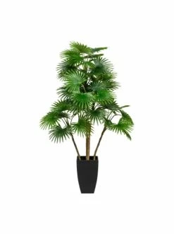 Bester Verkauf 💯 Kerzen, Vasen & Mehr Creativ Green Deko-Pflanze Fächerpalme In Grün Günstig Kaufen 🌟