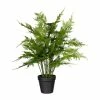 Großhandel 🎉 Kerzen, Vasen & Mehr Creativ Green Deko-Pflanze Farn Asparagus Plumosus In Grün Günstig Kaufen 👏 2 Großhandel 🎉 Kerzen, Vasen & Mehr Creativ Green Deko-Pflanze Farn Asparagus Plumosus In Grün Günstig Kaufen 👏 -Günstiges Creano Geschäft creativ green deko pflanze farn asparagus plumosus in grun 1