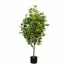 Besorgen 🛒 Kerzen, Vasen & Mehr Creativ Green Deko-Pflanze Ficus Benjamini In Grün Günstig Kaufen 🌟 -Günstiges Creano Geschäft creativ green deko pflanze ficus benjamini in grun 1