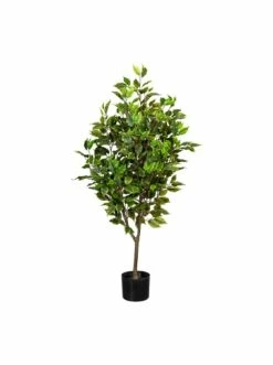 Besorgen 🛒 Kerzen, Vasen & Mehr Creativ Green Deko-Pflanze Ficus Benjamini In Grün Günstig Kaufen 🌟
