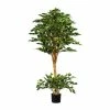 Auslauf 👏 Kerzen, Vasen & Mehr Creativ Green Deko-Pflanze Ficus Benjamini In Grün Günstig Kaufen ⌛ -Günstiges Creano Geschäft creativ green deko pflanze ficus benjamini in grun