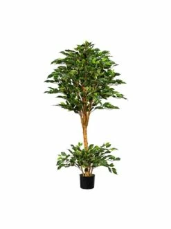 Auslauf 👏 Kerzen, Vasen & Mehr Creativ Green Deko-Pflanze Ficus Benjamini In Grün Günstig Kaufen ⌛