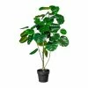Am billigsten 🔔 Kerzen, Vasen & Mehr Creativ Green Deko-Pflanze Ficus Deliciosa In Grün Günstig Kaufen 🧨 -Günstiges Creano Geschäft creativ green deko pflanze ficus deliciosa in grun