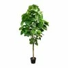 Brandneu 😍 Kerzen, Vasen & Mehr Creativ Green Deko-Pflanze Ficus Umbellata In Grün Günstig Kaufen 💯 -Günstiges Creano Geschäft creativ green deko pflanze ficus umbellata in grun 1