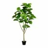 Budget 😉 Kerzen, Vasen & Mehr Creativ Green Deko-Pflanze Ficus Umbellata In Grün Günstig Kaufen 😉 -Günstiges Creano Geschäft creativ green deko pflanze ficus umbellata in grun