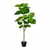 Top 10 ✨ Kerzen, Vasen & Mehr Creativ Green Deko-Pflanze Ficus Umbellata In Grün Günstig Kaufen ✔️ -Günstiges Creano Geschäft creativ green deko pflanze ficus umbellata in grun 2