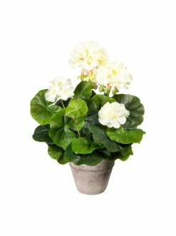 Top 10 🛒 Kerzen, Vasen & Mehr Creativ Green Deko-Pflanze Geranienbusch In Creme Günstig Kaufen ✨