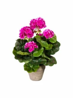 Brandneu 🌟 Kerzen, Vasen & Mehr Creativ Green Deko-Pflanze Geranienbusch In Lila Günstig Kaufen 🎉