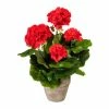 Schlussverkauf 🌟 Kerzen, Vasen & Mehr Creativ Green Deko-Pflanze Geranienbusch In Rot Günstig Kaufen 🤩 -Günstiges Creano Geschäft creativ green deko pflanze geranienbusch in rot