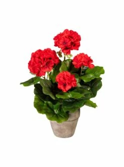 Schlussverkauf 🌟 Kerzen, Vasen & Mehr Creativ Green Deko-Pflanze Geranienbusch In Rot Günstig Kaufen 🤩